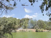Лесной пожар у устья ручья Сорек, идет эвакуация отдыхающих