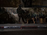 Действия ЦАХАЛа в Иудее и Самарии в ночь на 24 июня: операции в Шхеме, около Хеврона и Рамаллы