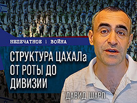 Кто командует ЦАХАЛом: отличия израильской армии от других. Видеокомментарий Давида Шарпа