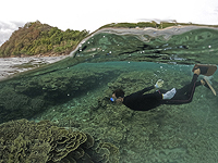 Ученые National Geographic обнаружили "крупнейший в мире" коралл размером с 5 теннисных кортов