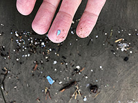 Частицы микропластика в морской среде становятся "невидимыми"