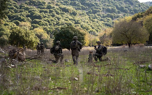 Бригады "Хирам" и "Голани" ликвидируют оружие "Хизбаллы" на юге Ливана. Фото, видео