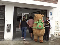 В Перу полицейский в костюме капибары с поличным задержал наркоторговца