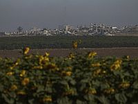 Reuters публикует детали "плана Виткоффа" по Газе. Противоречивые сведения о реакции ХАМАСа