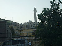 Арара