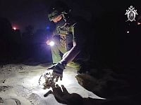 Минобороны РФ объявило о перехвате ночью 74 украинских БПЛА
