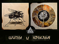 "Шипы и крылья" – новая двойная выставка в "БоХауз"