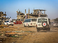 Галь Хирш опроверг слухи о полученных от "Красного Креста" данных о тяжелом состоянии заложников