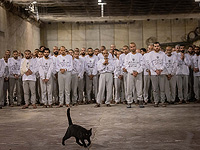 Мучения террористов в тюрьме "Кциот": надзирательницы и кот. Фоторепортаж