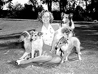 Умерла актриса Джун Локхарт, сыгравшая маму в телесериале "Лесси". Ей было 100 лет