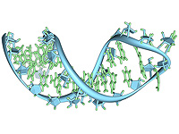Израильская управляемая "молекулярная ракета" находит и разрушает генетику раковых клеток
