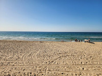 Пляжи Хайфы закрыты для купания: возле берега заметили акулу Пляжи Хайфы закрыты для купания: возле берега заметили акулу