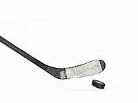 Хоккейная лига Восточного побережья. Голы хоккеистов-евреев "Юты" Хоккейная лига Восточного побережья. Голы хоккеистов-евреев "Юты"