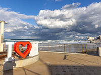 После посещения китовой акулы мэрия Хайфы намерена в субботу утром открыть пляжи