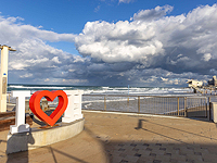 После посещения китовой акулы мэрия Хайфы намерена в субботу утром открыть пляжи После посещения китовой акулы мэрия Хайфы намерена в субботу утром открыть пляжи