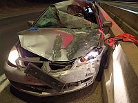 Около поселка Ревадим автомобиль сбил лошадь, водитель в тяжелом состоянии
