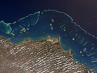 Большой Барьерный риф ожидает "мрачное будущее" из-за глобального потепления