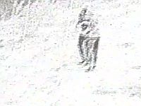 ЦАХАЛ: около Аль-Джудейры были ликвидированы двое террористов, бросавших "коктейли Молотова"