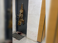 Любовный треугольник: житель центра Израиля повесил мертвого шакала на дверь соперника