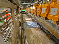 "Эвен Кейсар" закрывает последний завод в Израиле