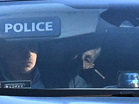 Рассмотрение апелляции Саркози, приговоренного к пяти годам тюрьмы, начнется 16 марта