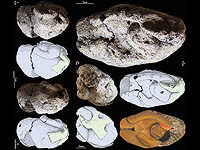 Различные виды 12 000-летней натуфийской глиняной фигурки из ущелья Эйн-Гев II с техническими и художественными чертежами