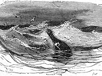 На побережье Австралии найдены бутылки с посланиями от солдат Первой мировой войны