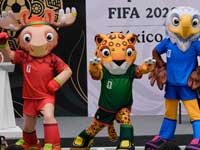 Иран бойкотирует жеребьевку чемпионата мира по футболу