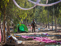 "Гаарец": в ШАБАКе не знали о фестивале Nova, хотя представитель ШАБАКа был на обсуждениях