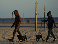 Ученые утверждают, что наличие собаки может улучшить психическое здоровье подростков