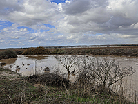 В Израиле – зимние дожди с грозами и градом, из-за наводнений перекрыты некоторые трассы