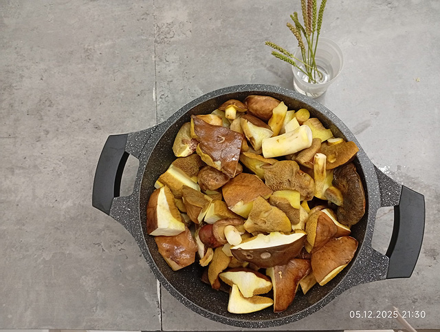 Грибной сезон в Израиле: декабрь 2025. Фотогалерея