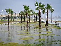 Шторм "Байрон" в Израиле: спасательные операции и жертвы переохлаждения