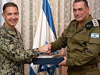 Брэд Купер и Эяль Замир