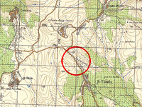 "Гаарец": вооруженный резервист совершил преднамеренный наезд на палестинца