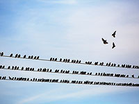 Завершены работы по электрификации железнодорожной ветки Беэр-Шева-Ашкелон

