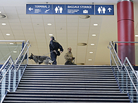 Две израильские туристки задержаны в аэропорту Праги с 96 кг ката