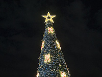 Администрация колледжа "Кей" распорядилась убрать новогоднюю елку, так как это "не еврейский символ"