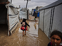 Главы МИД девяти западных стран и Японии: "Ситуация в Газе катастрофическая"