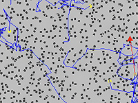 Израильские ученые обнаружили "скрытый" порядок в хаотическом броуновском движении
