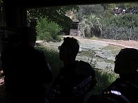 Ynet: Сотрудники ШАБАС начали учиться обращению с крокодилами