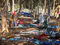 Вынесены приговоры мародерам, действовавшим 8 октября 2023 года на территории фестиваля "Нова"