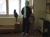 Жительница Тель-Авива блокирует проект "Расселение-Застройка" из-за кошек