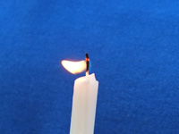 Футбол. Умер бывший тренер "Жальгириса" и сборной Литвы