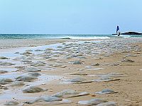 Нашествие медуз около Кейсарии. Фото
