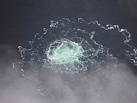 Германский суд отклонил просьбу подозреваемого в подрыве "Северного потока" украинца об иммунитете