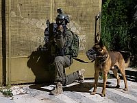 844-й день войны: действия в Газе и Ливане, операции в Иудее и Самарии
