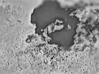 ЦАХАЛ ликвидировал террористов, восстанавливающих подземную инфраструктуру "Хизбаллы"