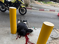 Попытка теракта к югу от Иерусалима, террорист нейтрализован