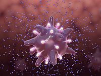 Ученые рассказали, как наследственность и воспитание формируют наши иммунные клетки